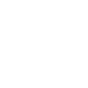 Logo don zapatero en blanco